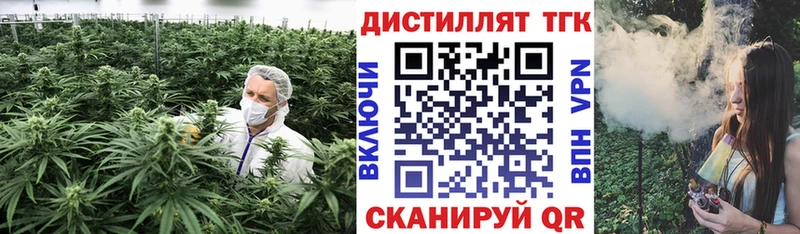купить наркотики цена  Алзамай  Дистиллят ТГК жижа 